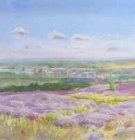 Picture of the Week: <p>The heather is in bloom and from Ringinglow one can see across the City to Lincoln Cathedral in the South East and Ferrybridge in the North. The scent was like standing in honey when painting this picture.</p>